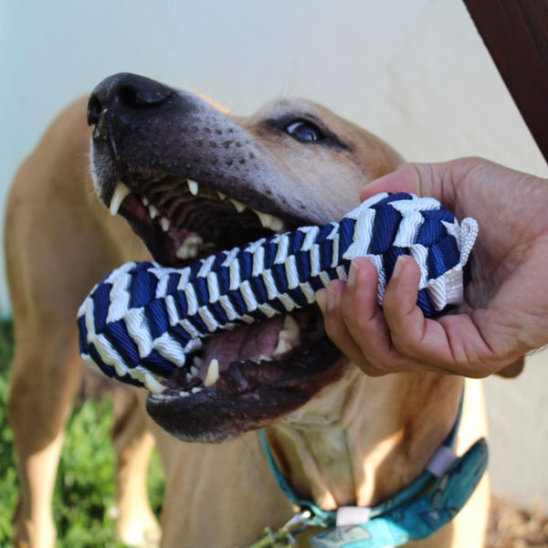 Tall Tails Navy Braided Bone Tug Toy for Dogs